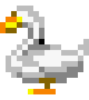 Swan